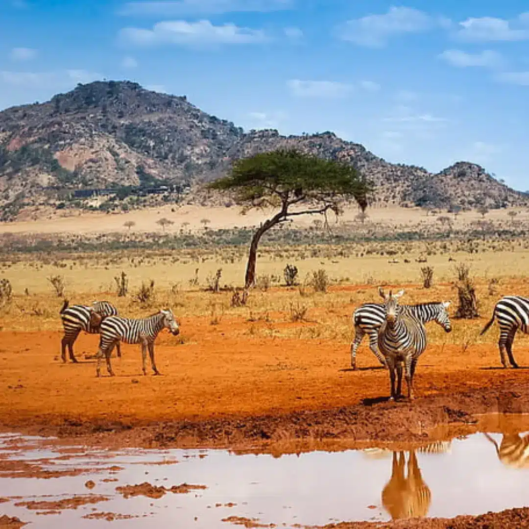 Why You Should Visit Kenya Luxury Vacations and Holidays Pvt Ltd Luxury Tours