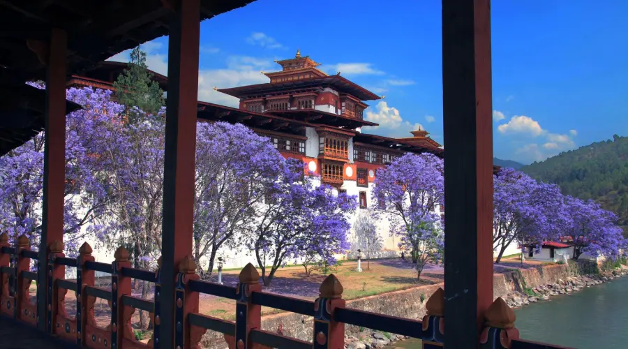 Punakha-Bhutan