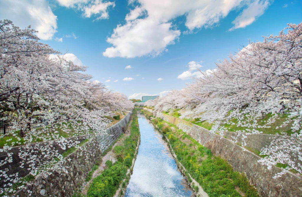 Yamazaki River Nagoya